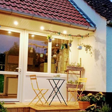 Le cottage du Marais. Houlle Extérieur photo